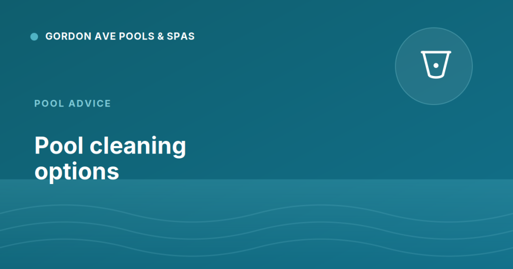 pool cleaning options